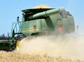 The grains industry is against the proposed biosecurity tax. File photo.