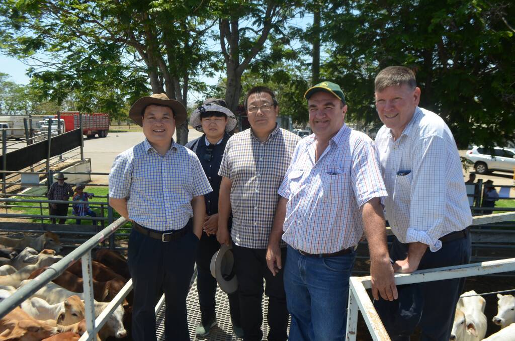 Northern prospects: Sino-Australia Top Beef delegates Zhou Ligong, Vivian Zhang and Zhang Yong inspect the yarding at the Charters Towers weekly cattle sale and examine the export quarantine depot at the Dalrymple Saleyard with tour guides Ramon Jayo and Roger Kaus.