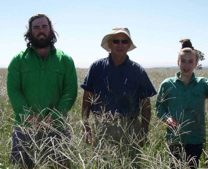 Matthew and George Avendano, “Towri”, Boggabri, and Sophie Anderson, Dubbo, (and granddaughter of columnist, Bob Freebairn), in early April 2017 admiring premier digit grass on “Towri”. 