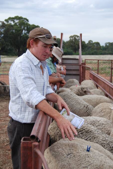 Matthew Coddington, Dubbo (pictured at a ewe competition), says stock handling training equipped him to handle sheep in ways he could only previously do with dogs.
