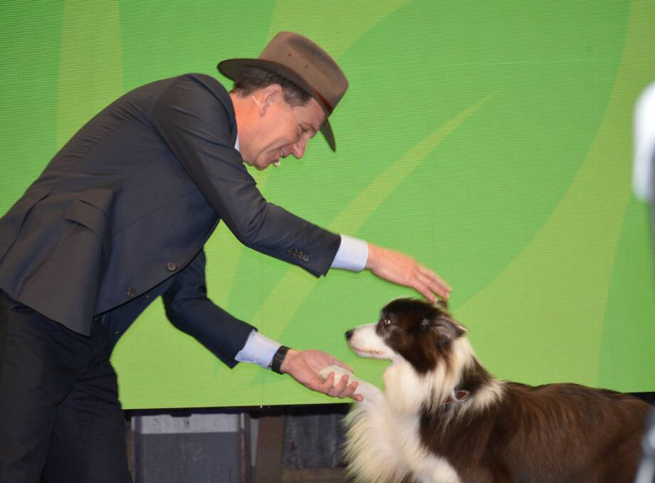 Rabobank's Wiebe Draijer shakes paws with a Border Collie during the opening of the 2019 Farm2Fork summit at Cockatoo Island, Sydney.