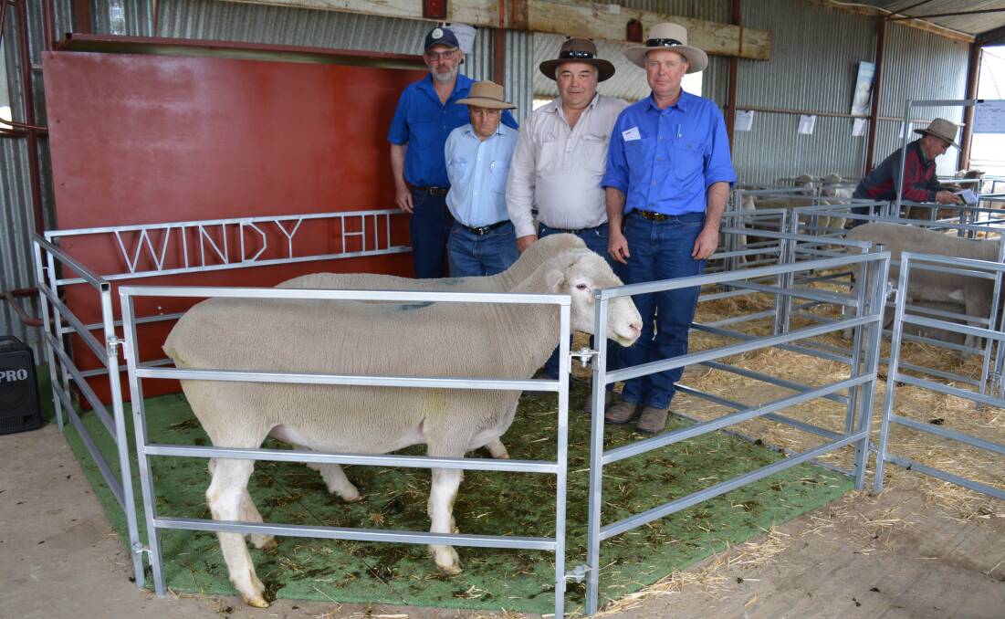 Chris Roweth, Windy Hill Poll Dorsets, Carcoar, with with members of the Loloma Partnership from Forest Reefs, also the volume and equal top-priced buyers; Steve Pascoe, Dave Pascoe, and Jason Pond, with part of their draft.