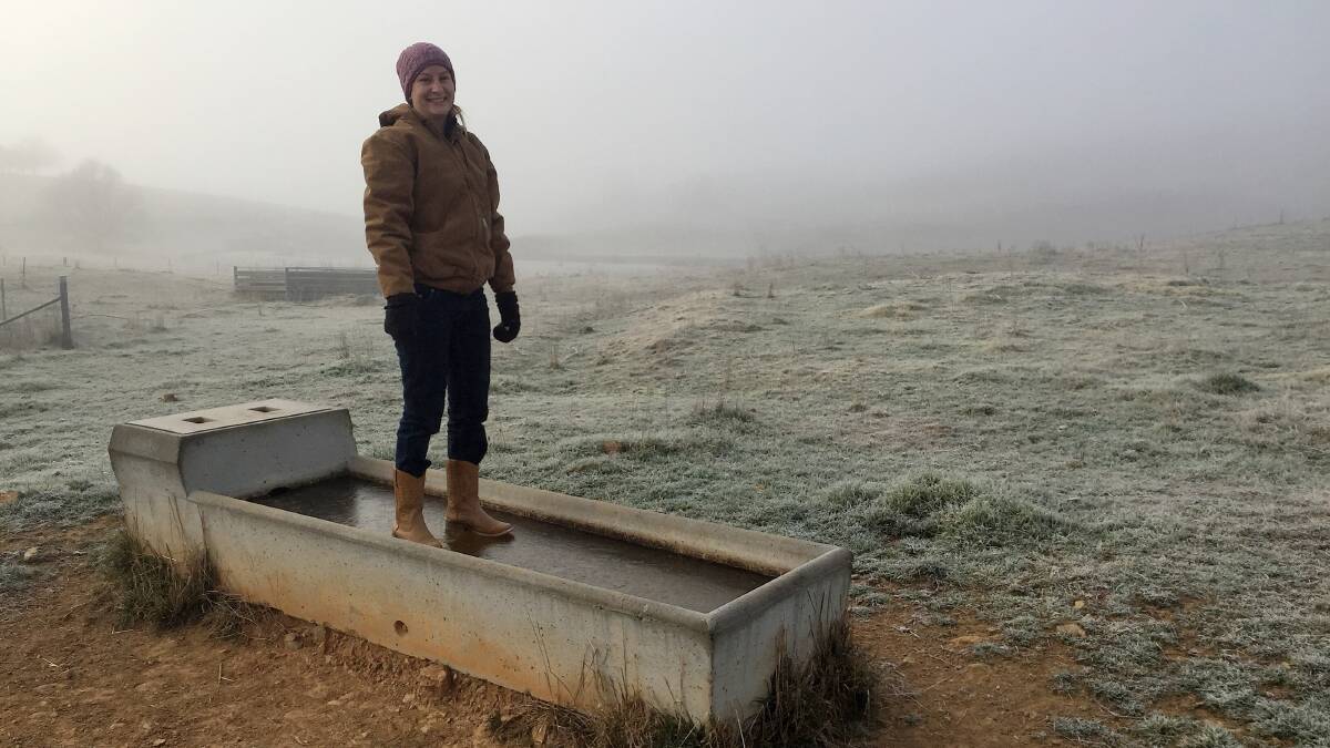 Amanda Herringe, Fullerton Station, Laggan near Goulburn, was pictured on this completely frozen trough at 8am on Sunday on Fullerton Station.
