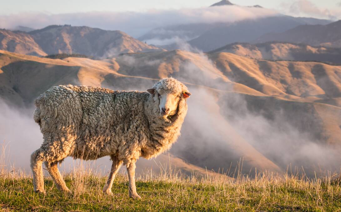 Farmers must decide which side of the carbon debate they on, says George King, Carcoar. Picture by Shutterstock.