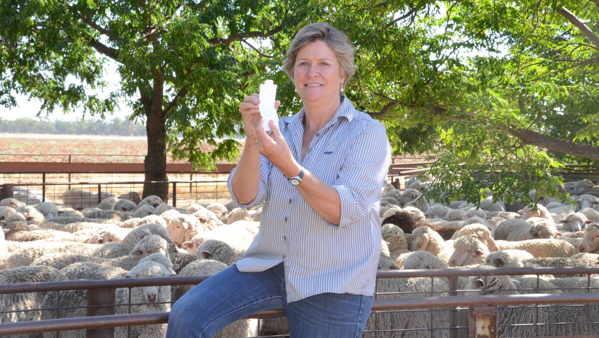 Sheep Co-operative Research Centre’s industry engagement and training co-ordinator, Lu Hogan, explains the RamSelect Plus app and the range of DNA tests on the market.