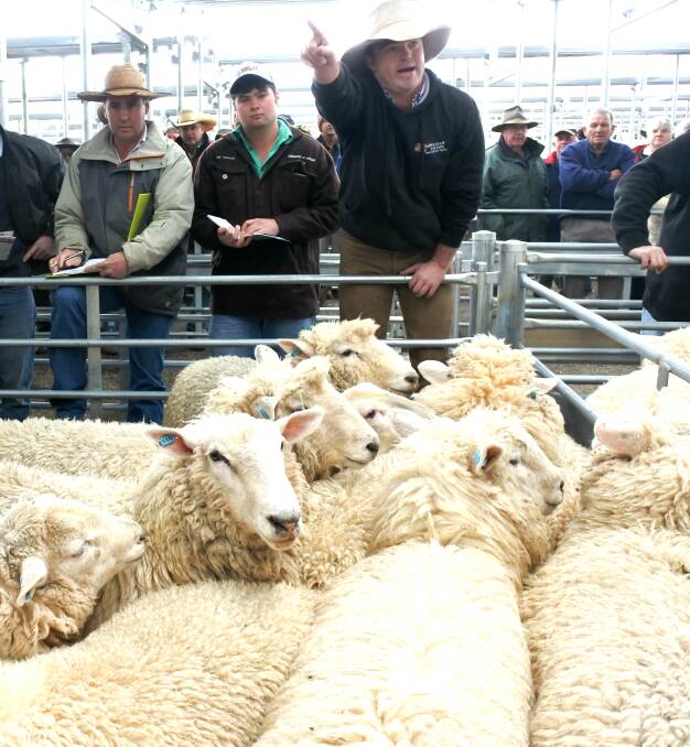 Auctioneer Corey Nicholson, Holman Tolmie, Cootamundra, sells woolly crossbred lambs on account of Eastside Pastoral Company, Yass, for $137.