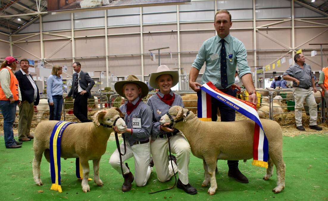 Champion Dorset Horn ram (right) with handler Emily Hoffman, reserve ram with Bonnie England, both from St Lawrence's Primary School, Coonabarabran, and judge, James Corcoran, Boorowa.