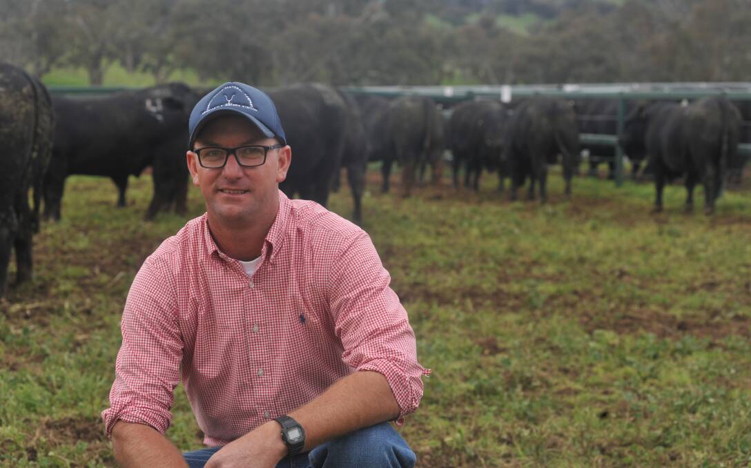 Jeremy Shaw, JS Grazing, Injune, Queensland, spent an average of $20,800 on five bulls for his commercial operation at the Millah Murrah sale.
