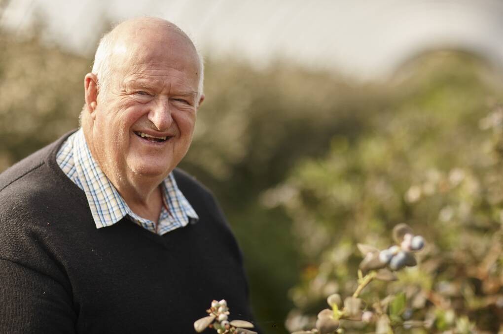 Since 2010, Ridley Bell's Mountain Blue Orchards has grown its footprint from three countries to 24.