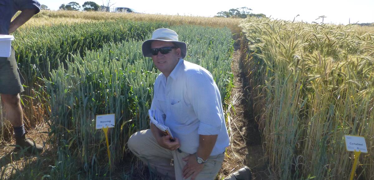 NSW Department of Primary Industries technical specialist grain services, Peter Matthews, explains one of many aspects of maximising crop yields was early sowing with appropriate maturing varieties. 