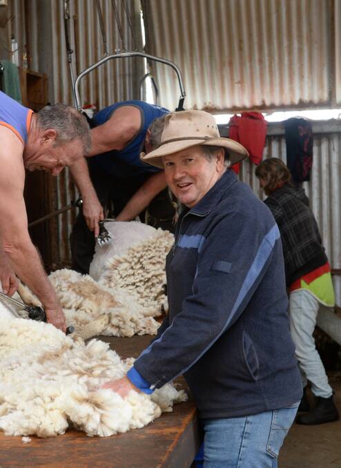 Tony Quigley during Quigley Farms' lamb shearing this week.