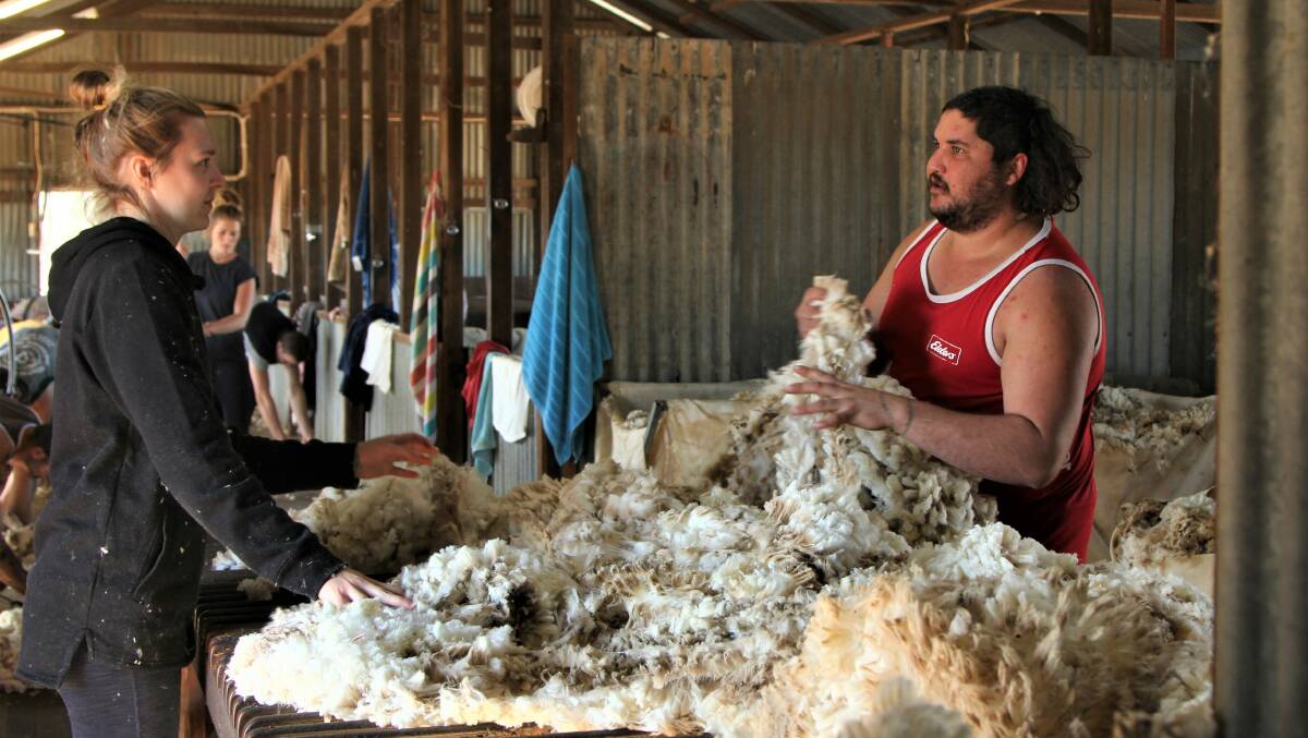 Wool table worker Teegan Knight with rousie Todd Gadd skirting a fleece at Oma.
