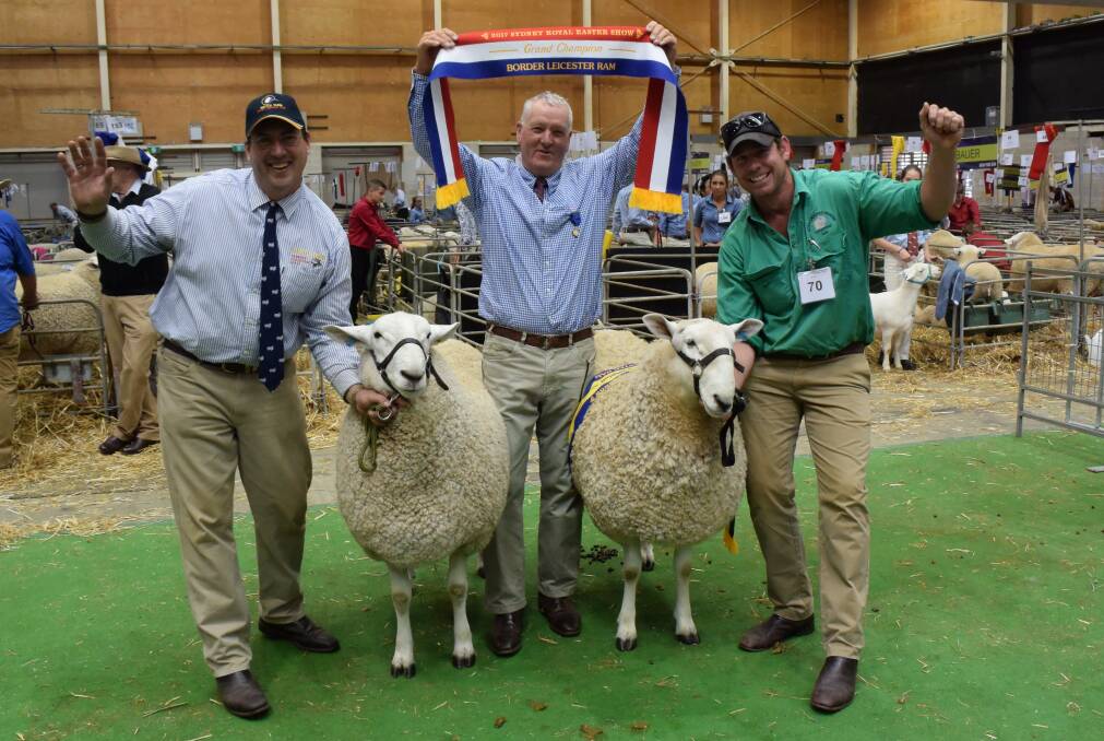 Wattle Farm principal Jeff Sutton with the grand champion Border Leicester ram, judge Trevor James, and reserve grand champion ram, held by Tom Corkhill, Normanhurst. 