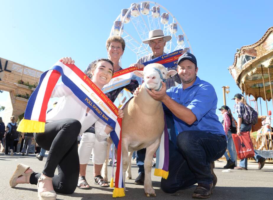 Springwaters Poll Dorset Stud, Boorowa, show team including Lisa Cotter, Jo-Anne, Dennis and Dane Rowley with the supreme interbreed exhibit at the Sydney Royal Easter Show. 