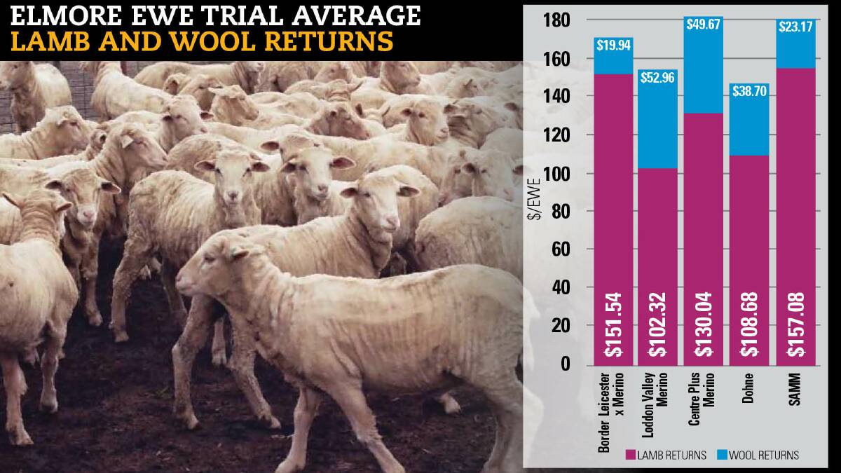 Prime lambs from specialist dual-purpose Merino ewes had higher gross margins by an average of 34pc above four alternative ewe breed choices. 