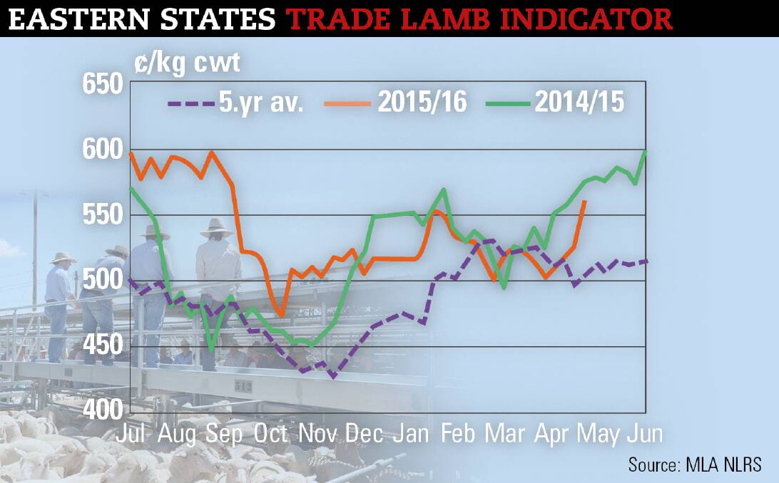 Shipment challenges following widespread rain and production shortages has resulted in a lamb market jump with the ESTLI rising to a yearly high of 565c/kg cwt.