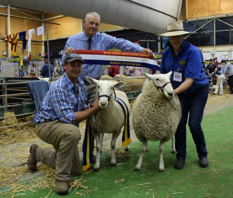 Bauer stud principal Jamie Buerckner with the reserve grand champion ewe, bred judge Trevor James and Retallack's Isabella Grinter with the grand champion Border Leicester ewe. 