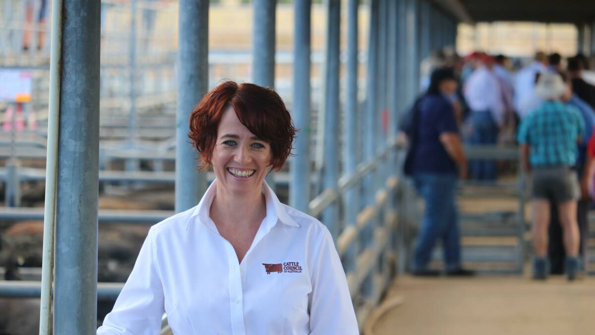 Cattle Council of Australia CEO, Margo Andrea, says local livestock industries are keen to crack down on the misuse of antibiotics.