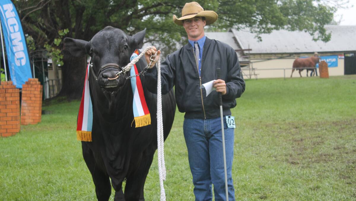 Lachlan Trustum with Weona Foreman, all-breeds senior champion bull at the North Coast National Show.