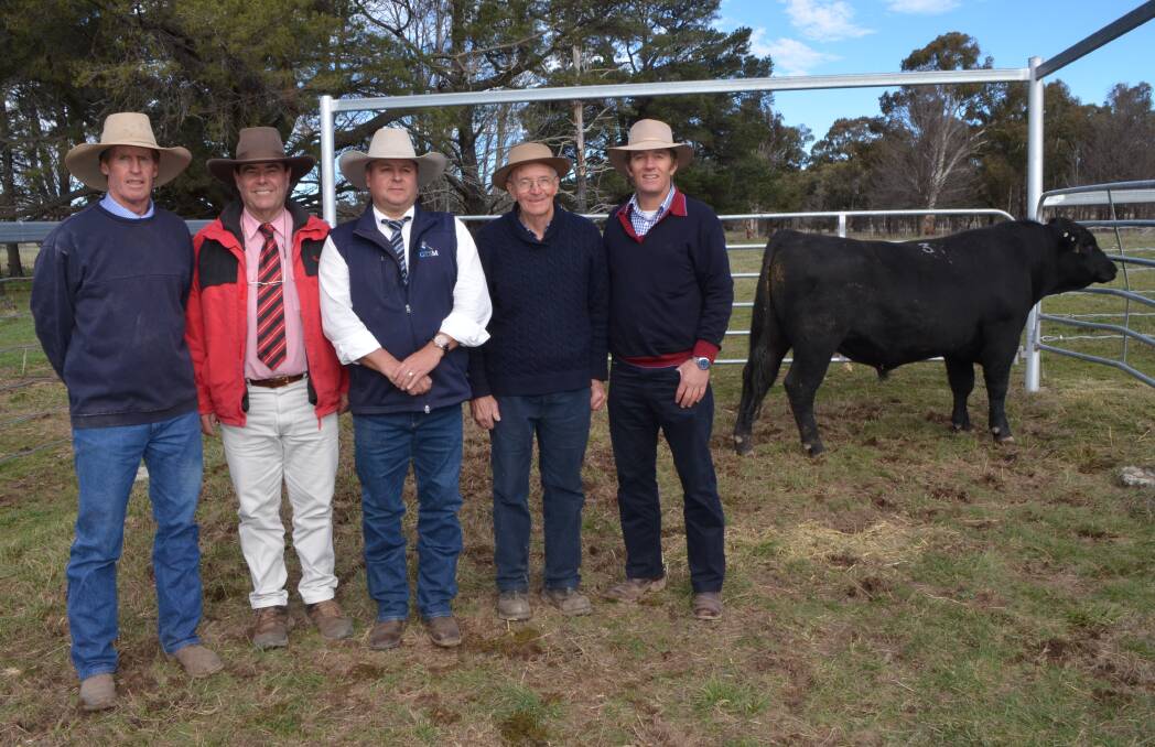 Stud principal Andrew White, agent Brian Kennedy, Elders, auctioneer Michael Glasser, Glasser Total Sales Management, and buyers Nigel and David Schaefer, "Glenowen", Ebor with Eastern Plains Equater K66 who made $10,000.
