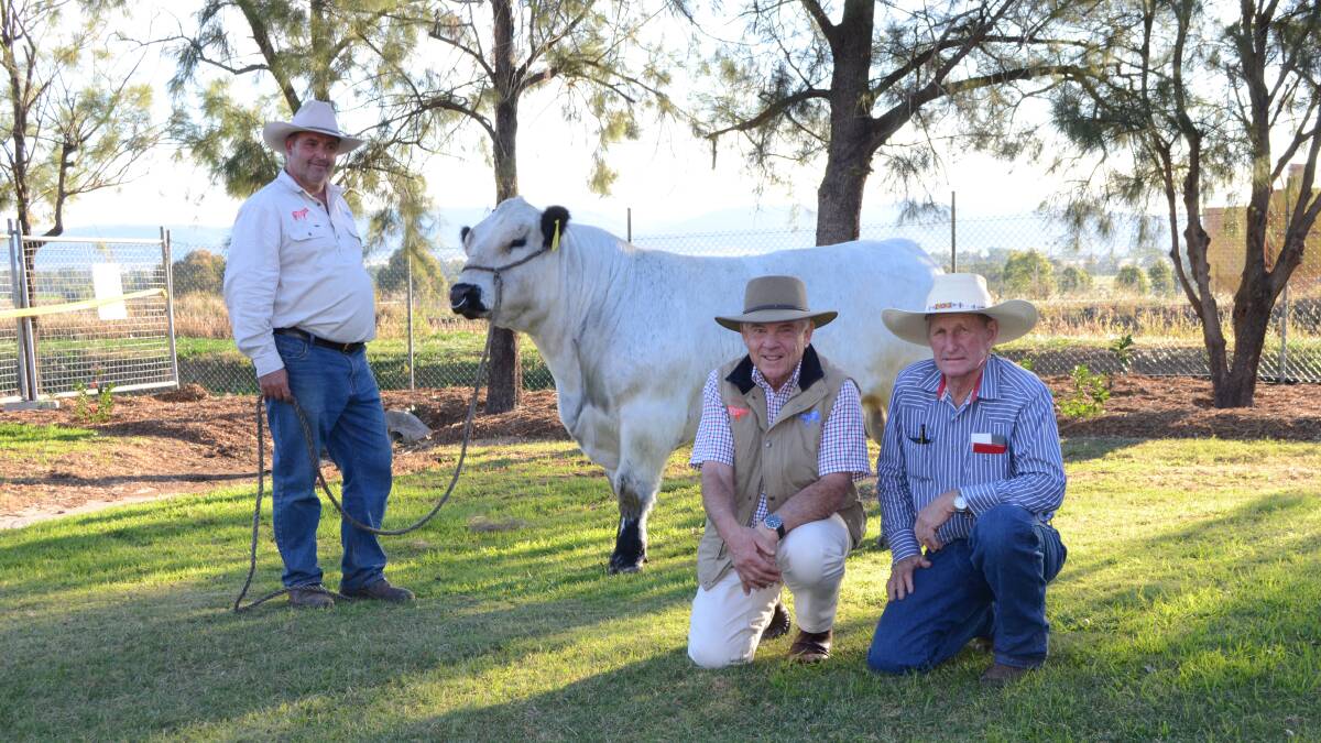 Paul Hourn and John Ellis, Hanging Rock Speckle Parks, and buyer Bryan Wormwell, who bought the $20,500 bull for PW9 Simbrah stud, Tara, Queensland.