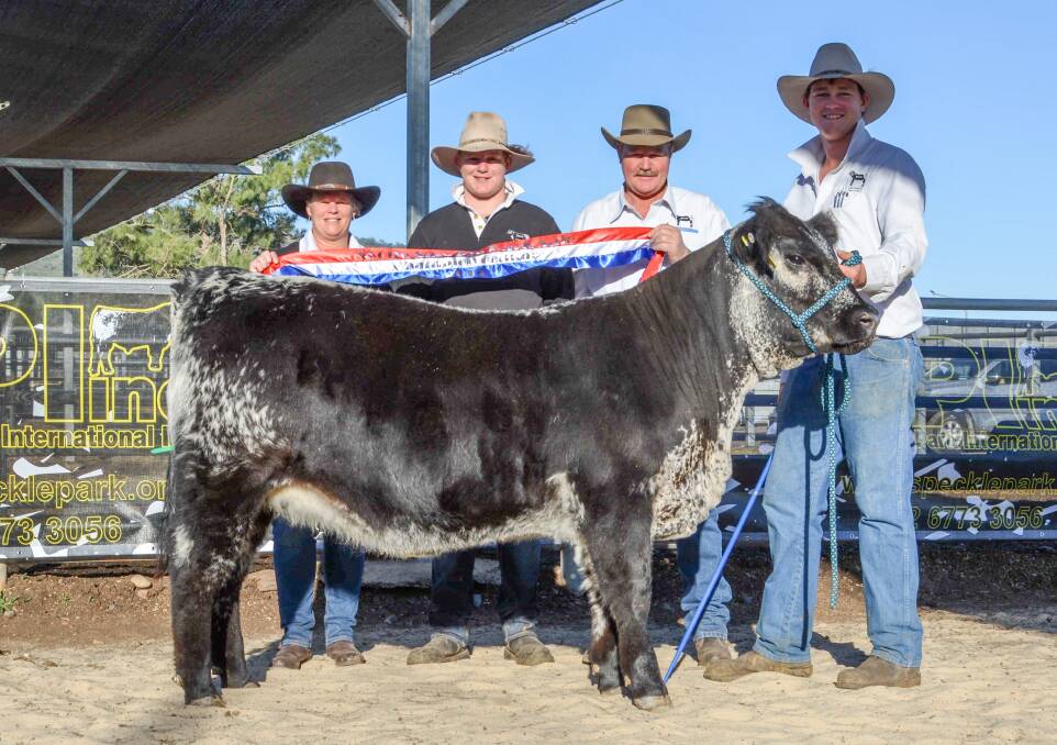 2019 SALE TOPPER: The Van der Drift family, Macorna, Victoria, with their $17,500 heifer Black Diamond 110B Protester P253, purchased by Paul Guy from Te Mooi stud, Benalla, Vic. Photo: Hannah Powe