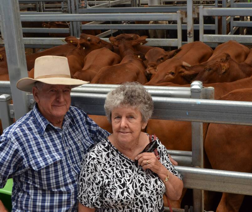Maurice and Roslyn O'Neill, "Nook Creek", Bellbrook, near Kempsey, with their Droughtmaster yearling steers that made $1420.