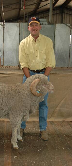 Tom and Susan Combes use flock rams bred by Andrew White, Havilah North Merinos, Mudgee, pictured.