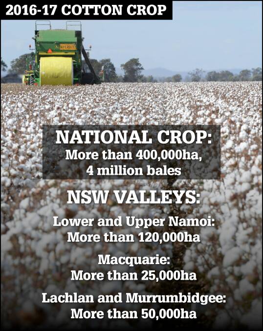 Cotton Australia expects 400,000 hectares of cotton to be planted for a crop of four million bales, up from 265,000 hectares and 2.6 million bales in 2015-16.