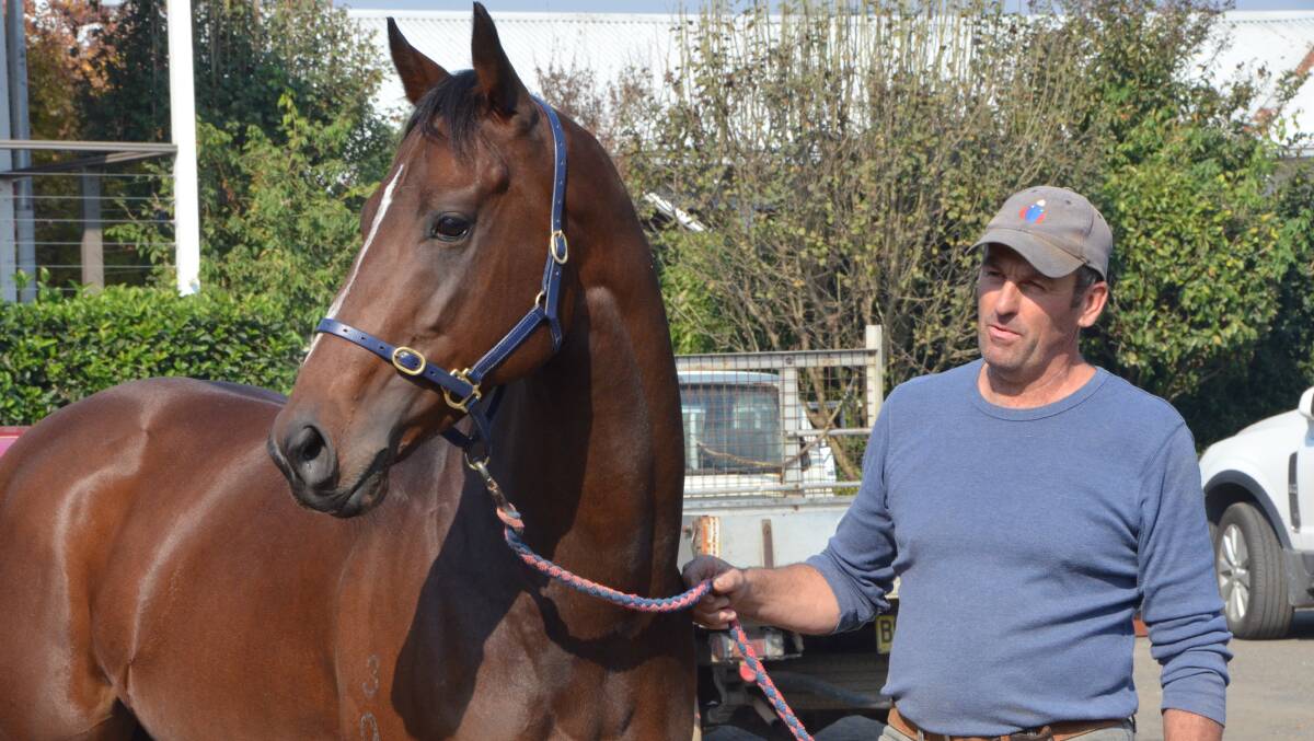 Successful racing mare Enigami and Phillippe Vigouroux at his Hawkesbury stables.