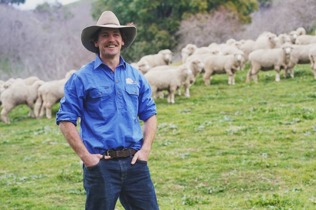 IMPROVING FLOCK: Koonwarra genetics are helping Tom Simson breed a moderate, plainer-bodied sheep, with improved fertility and wool cut. 