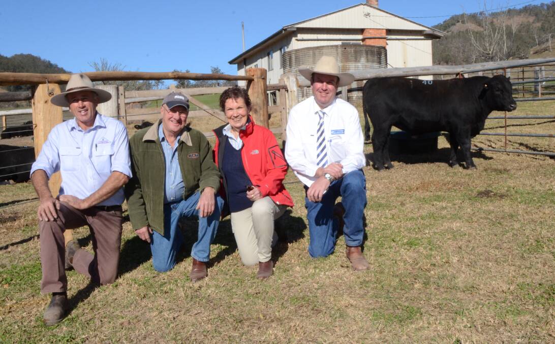 Curracabark principal Sandy Higgins, buyers Bill and Di Mansfield, "Willandia", Waukivory, and auctioneer Paul Dooley, Tamworth with the $15,000 Angus bull, Curracabark Loxton L20A.

