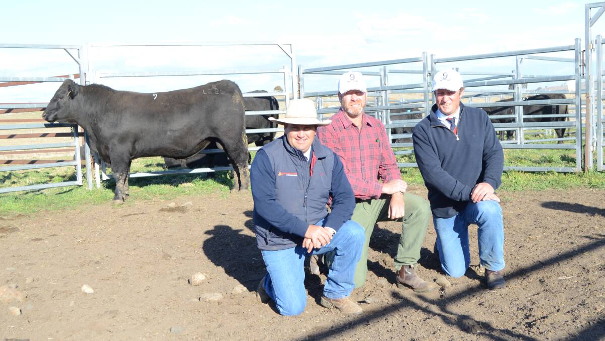 Agent Luke Scicluna, buyer James Hooke, "Skibo", Gloucester, and Glenavon stud principal Richard Post with the $19,000 bull.