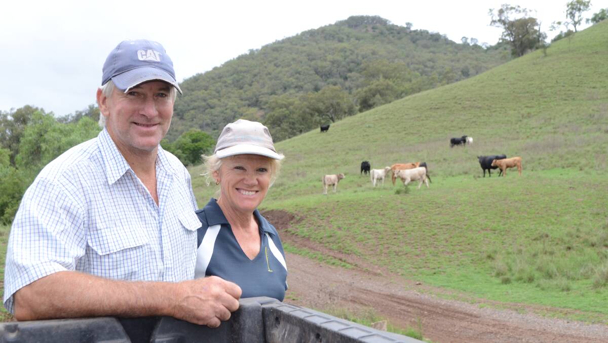 Karl and Shirley Casben, "Springvale", Wingen, will sell 50 weaners at the Scone sale on April 20.