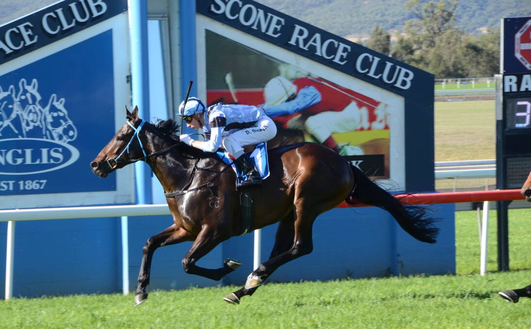 The Cameron Crockett-trained Barbass winning the 2016 Inglis Challenge at Scone.  Photo by Virginia Harvey
