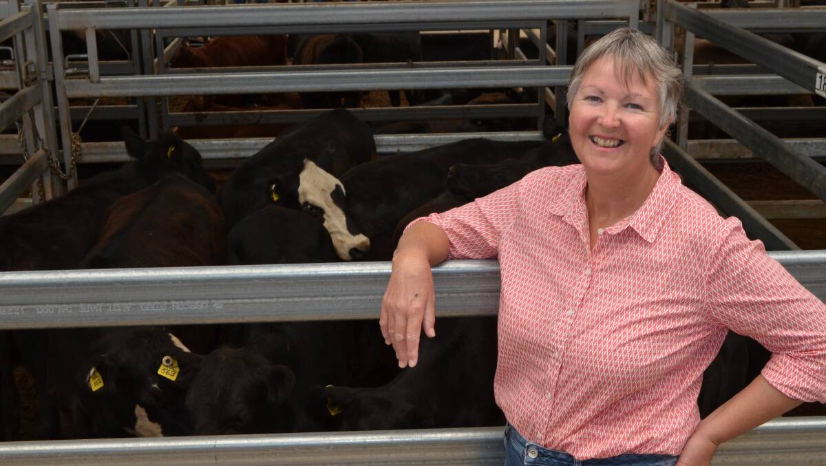 Betty Crago, "Sanday", Gowrie, sold 13 yearling steers and 12 yearling heifers.  