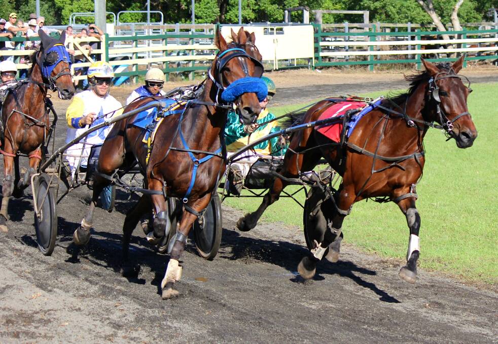 Harness racing is held at Bangalow show as part of the Northern Rivers show run.