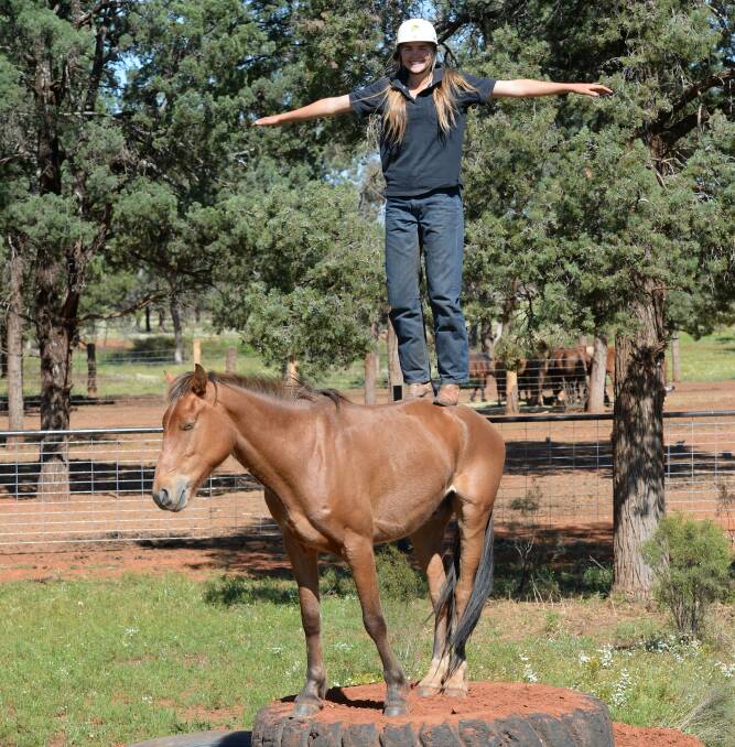 Lauren Hughes, 17, standing on a brumby with only 22 hours of work. The teenager is one of the main trainers at 4BP Horses, near Cobar.