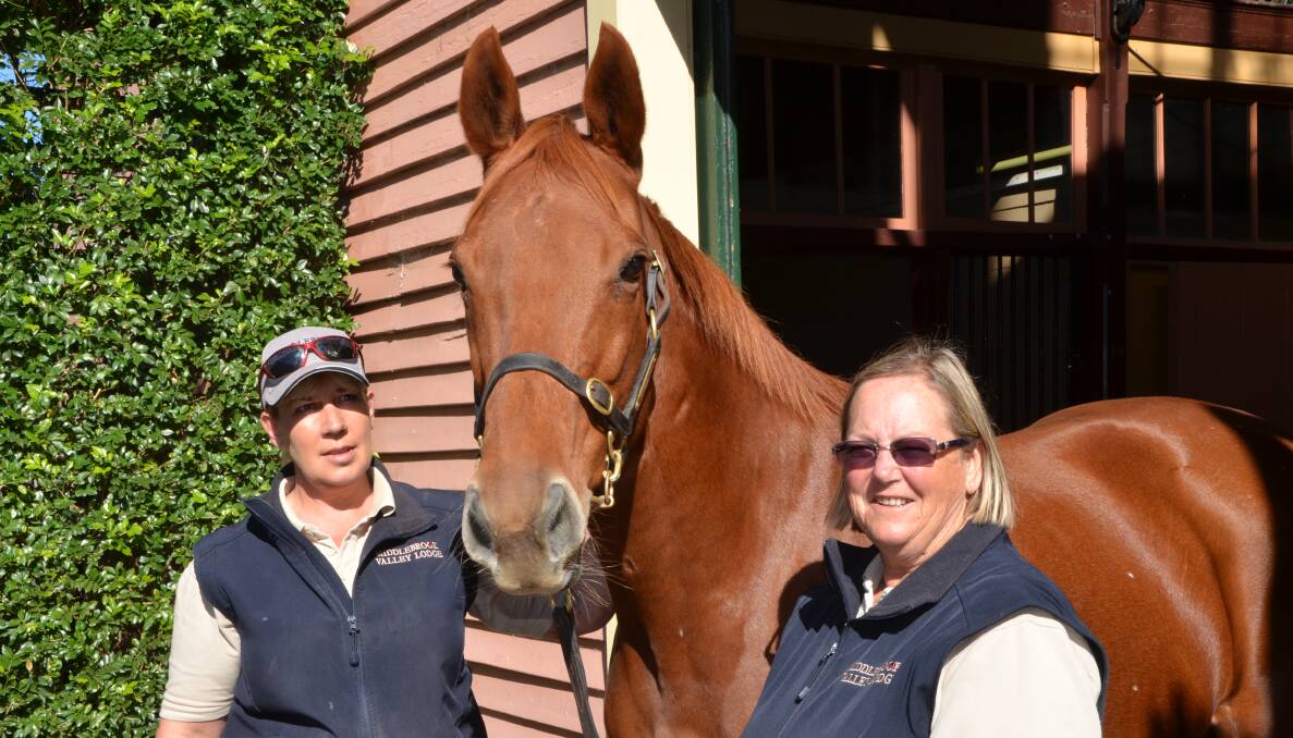 Middlebrook Valley Lodge horse handlers Trace Paterson (left) and Verna Metcalfe (right) with Ininthree at the recent Inglis Sydney broodmare sale. Verna was the recent recipient of the Murray Bain service award. 