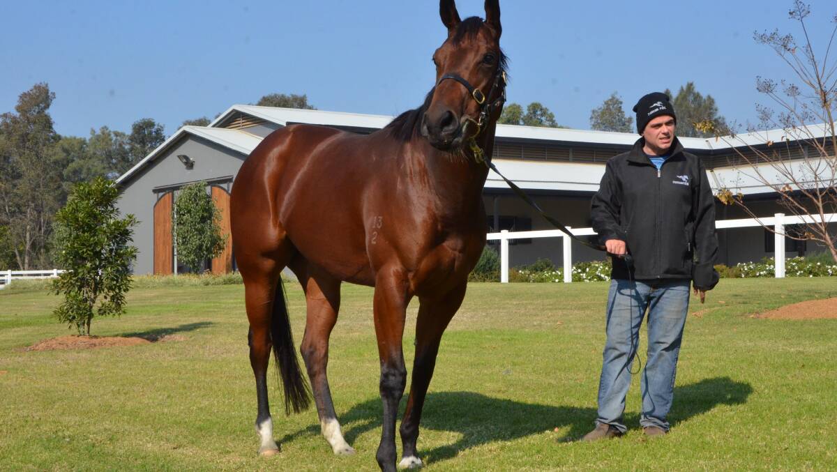 Blake Ryan with Cartier Rock at Platinum Park Stables, Hawkesbury.