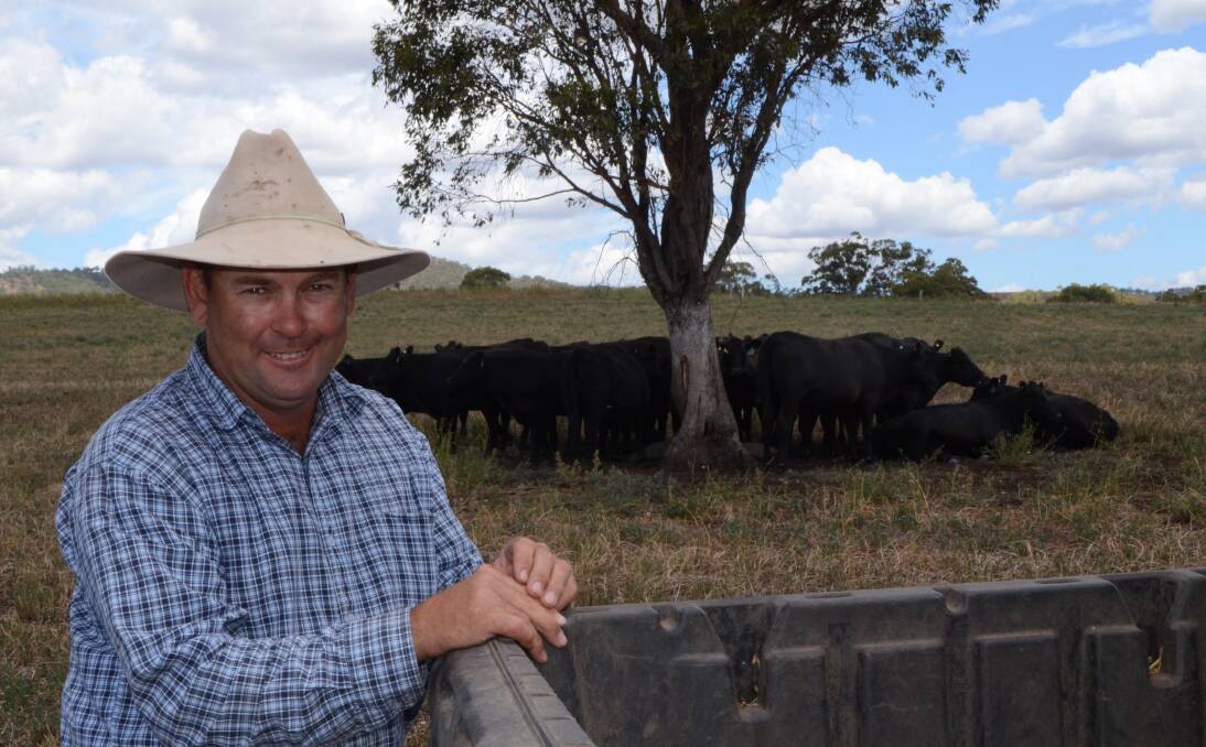 Elliott McKinnon with Angus cattle at "Dales", Merriwa. The 18-month-old heifers are joined to low birthweight bulls from Knowla, Booroomooka and Coolie Angus studs.