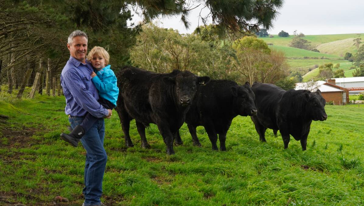 FOCUSED ON PEDIGREE: Shane Harris and son Charlie, 4, pictured with some of his Angus bulls, including the two Coffin Creek sires he purchased as yearlings last year.