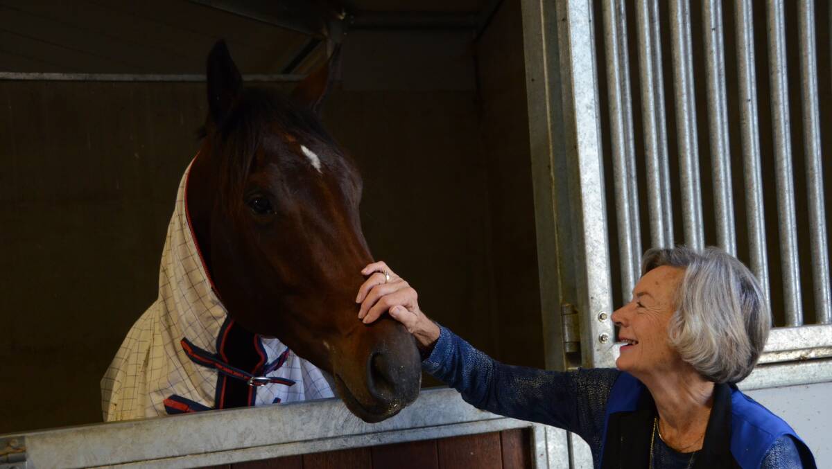 Hawkesbury breeder Wendy Craswell with Lonhro colt Star Of Monsoon at Platinum Park Stables.
