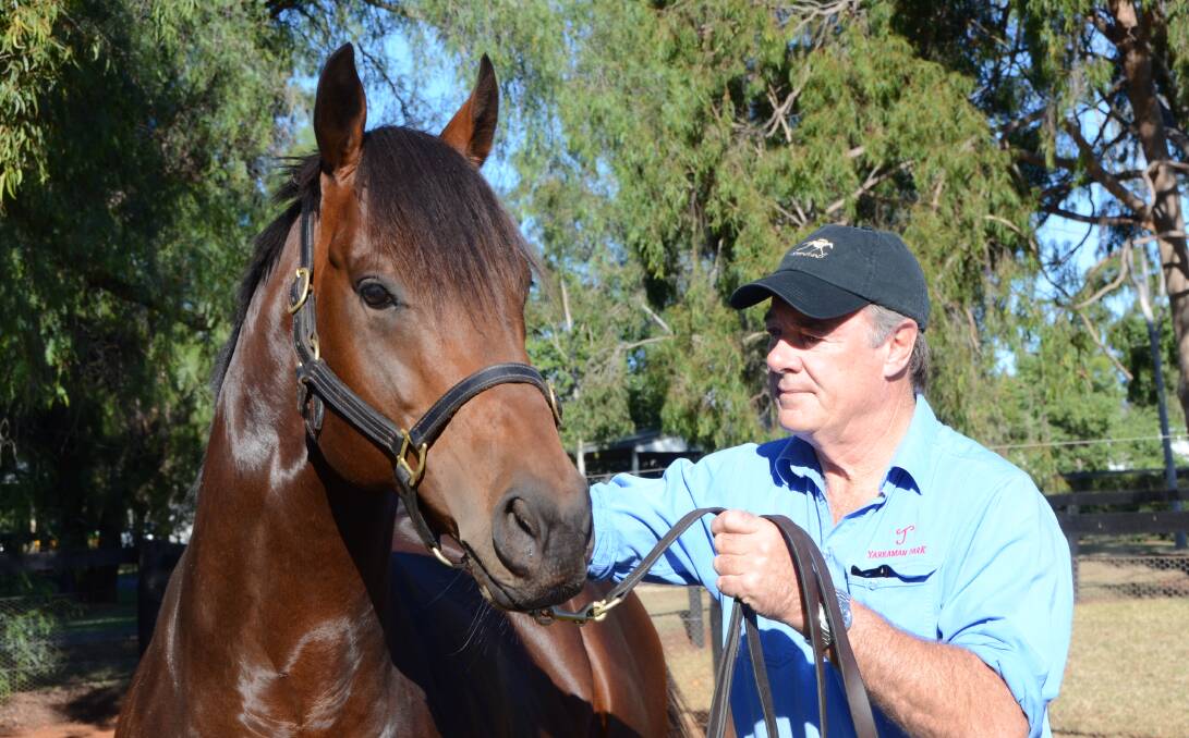 Stud owner and manager Arthur Mitchell with Hellbent while spelling at Yarraman Park, Scone, in May. Photo by Virginia Harvey