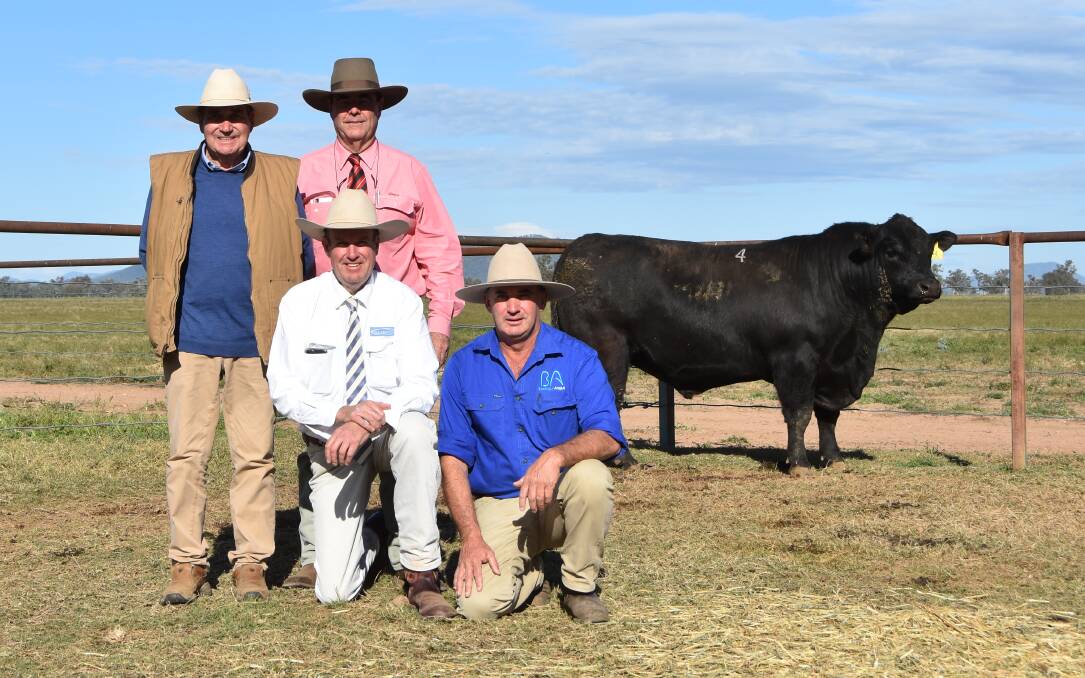 HIGH AVERAGE: The $22,000 bull with Mike Wilson representing Ascot Angus, agent Brian Kennedy, Elders, Paul Dooley and Tim Vincent, Booragul. 