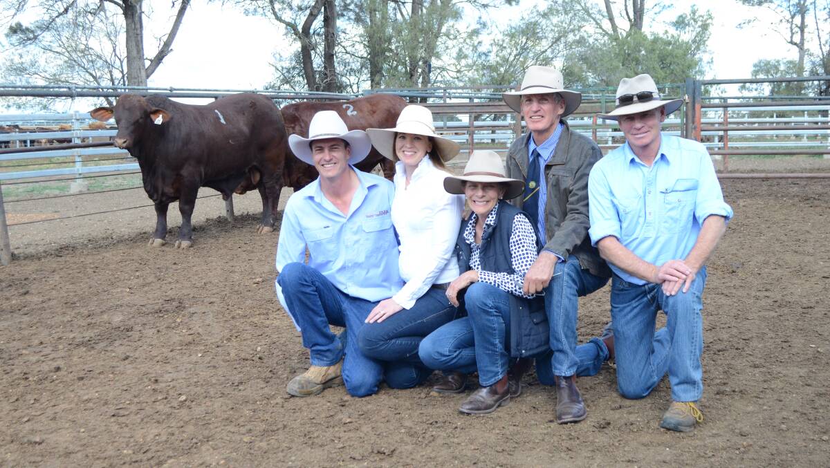Mike, Danni, Ian and Louise MacCue, with buyer Tim Moses, 'Tralee', Inverell, who bought four bulls, including the two $10,000 sale toppers.