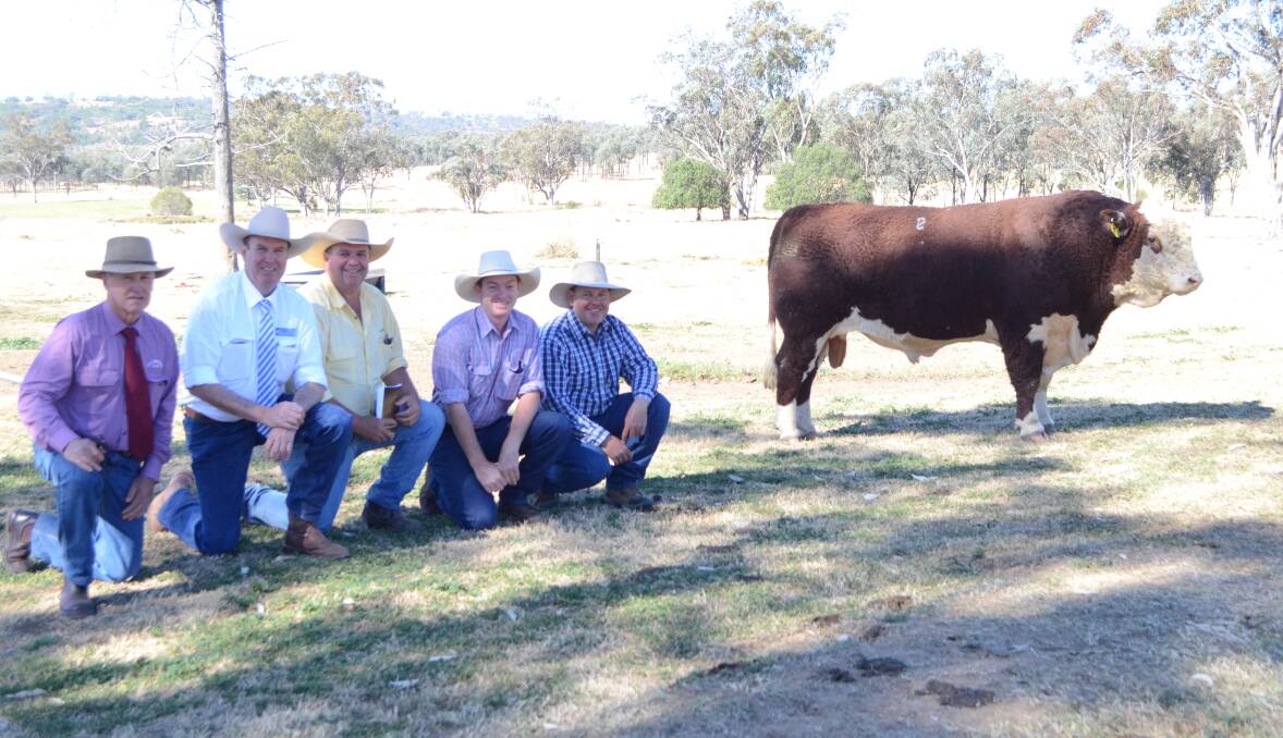 Agent Terry Pyne, auctioneer, Paul Dooley, buying agent, Tim Bayliss, buyer Greg Tyler, Hillview Herefords, Tyringham, and stud principal, Ian Durkin, with Mountain Valley Long Shot L17, one of two $15,000 bulls.