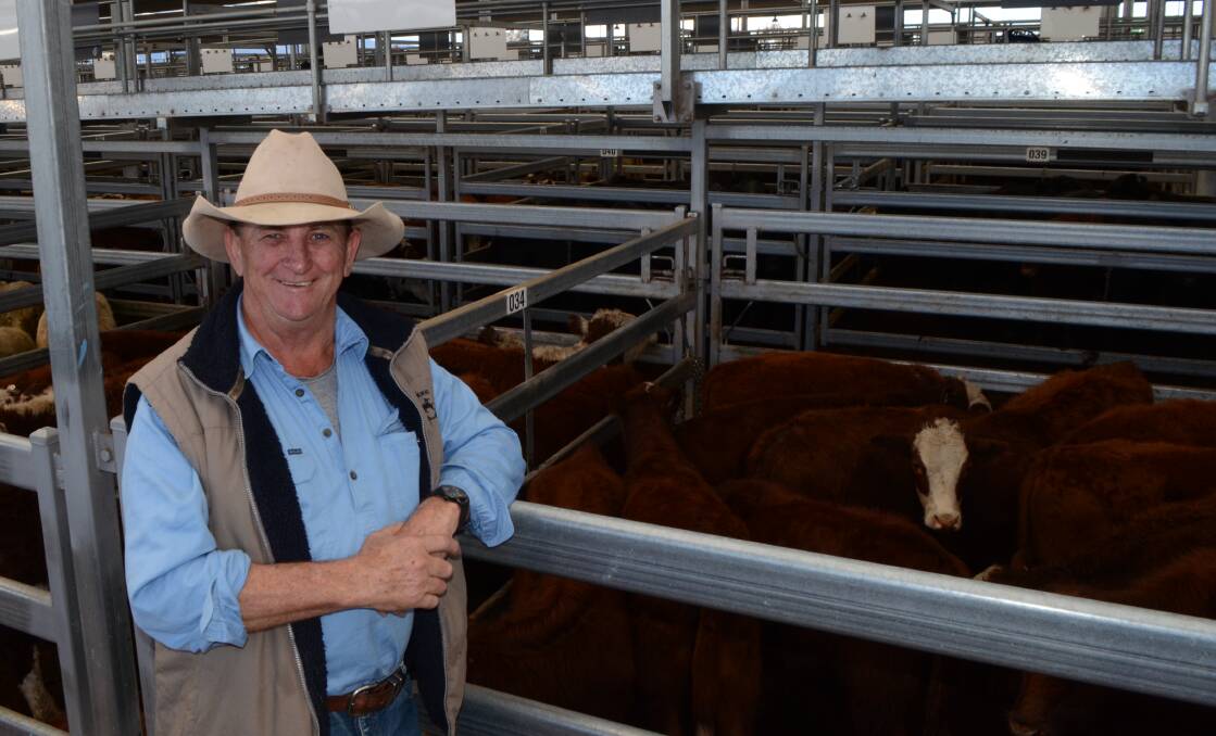 Neil Booth, "Clarence", Macleay River, sold 130 six-month-old Hereford and Angus weaners. His steers topped at $925 and heifers made up to $775.