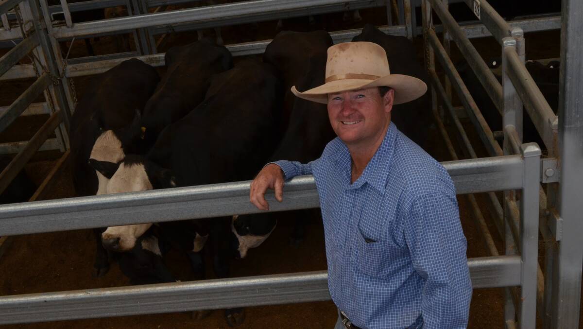 Luke Clarke, "Clarkeville Park", Niangala, sold 38 three- to six-year-old Angus and black baldy cows for a top of $2250.