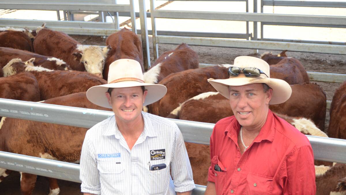 Agent Chris Paterson, Tamworth, with buyer Jason Taylor, "Pastine", Tamworth, who bought 56 weaners from Neil and Beth Higgins, “Old Crockford”, Nowendoc.